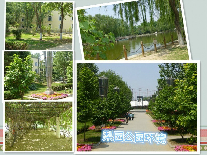 尚佰易國(guó)際福祉養(yǎng)老機(jī)構(gòu)