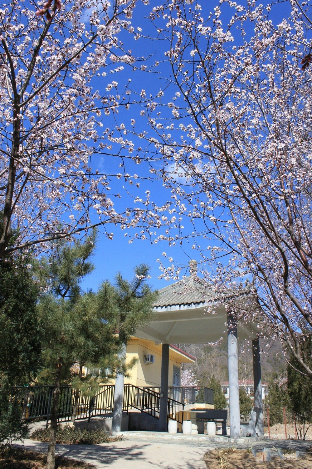 北京市昌平區(qū)愛地老人頤養(yǎng)中心