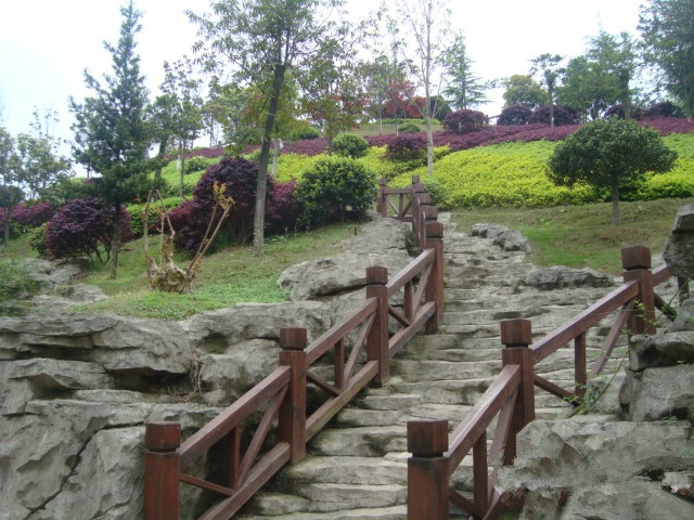 長(zhǎng)沙康乃馨國(guó)際老年生活示范城