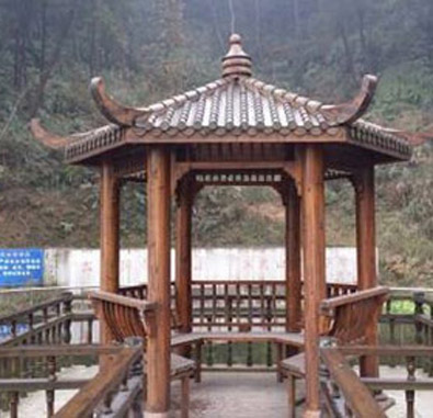 重慶愛(ài)林居托老中心