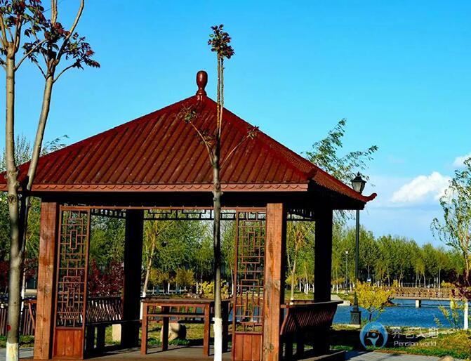 雲杉鎮(zhèn)宜老社區(qū)