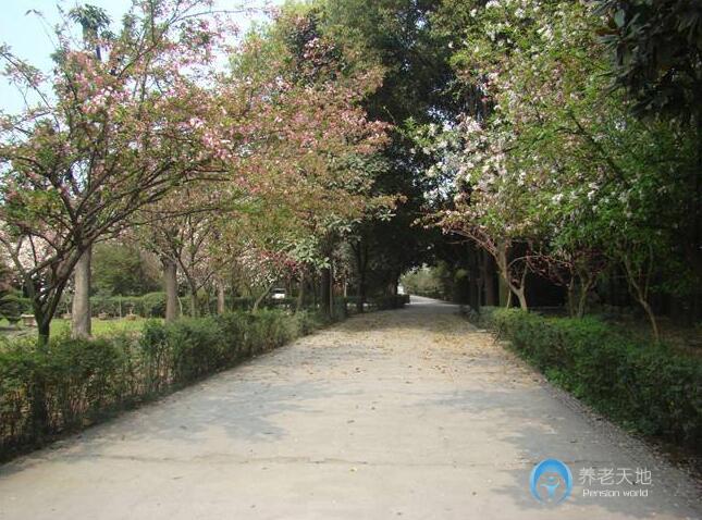 南寧市關(guān)愛(ài)養(yǎng)老院