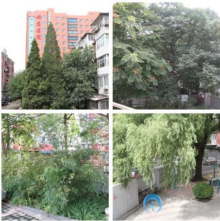 北京市朝陽(yáng)區(qū)安貞街道養(yǎng)老照料中心