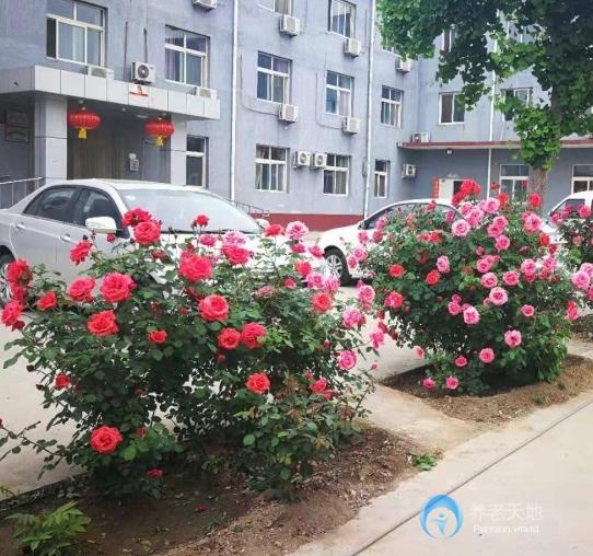 北京市順義區(qū)六福全營養(yǎng)老服務(wù)中心