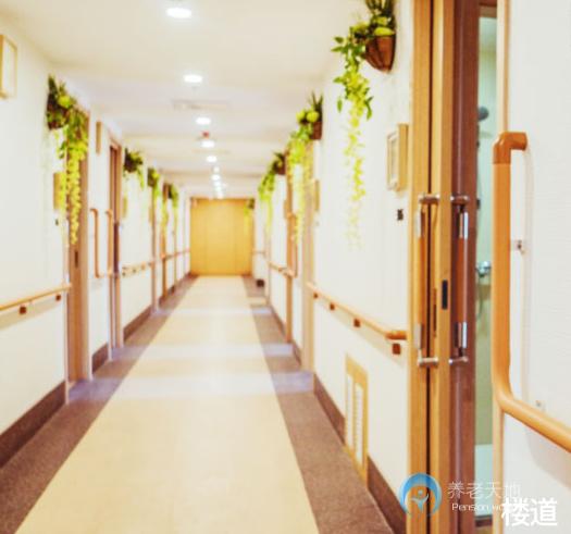 北京市寸草春暉學(xué)院路養(yǎng)老院