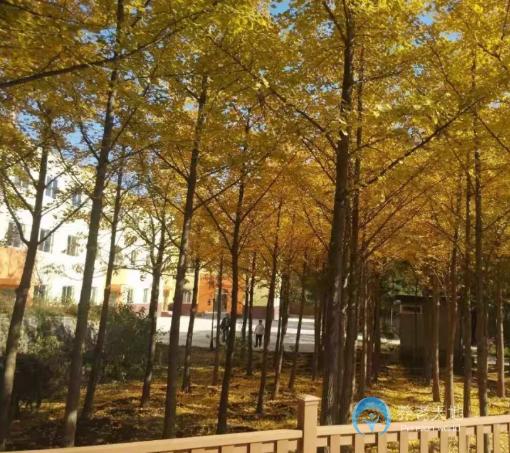 北京市海淀區(qū)愛達(dá)頤德老年公寓