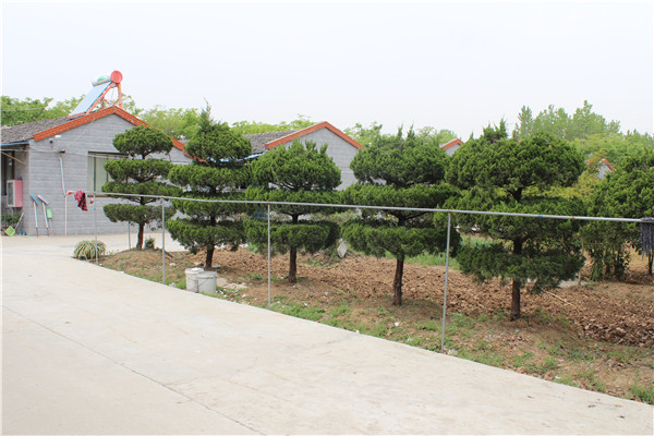 丹陽(yáng)寶山老年公寓