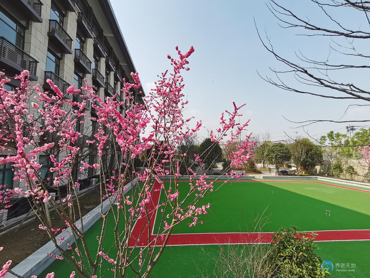 重慶國投健康長者公寓（沙坪壩區(qū)社會(huì)福利護(hù)養(yǎng)中心）